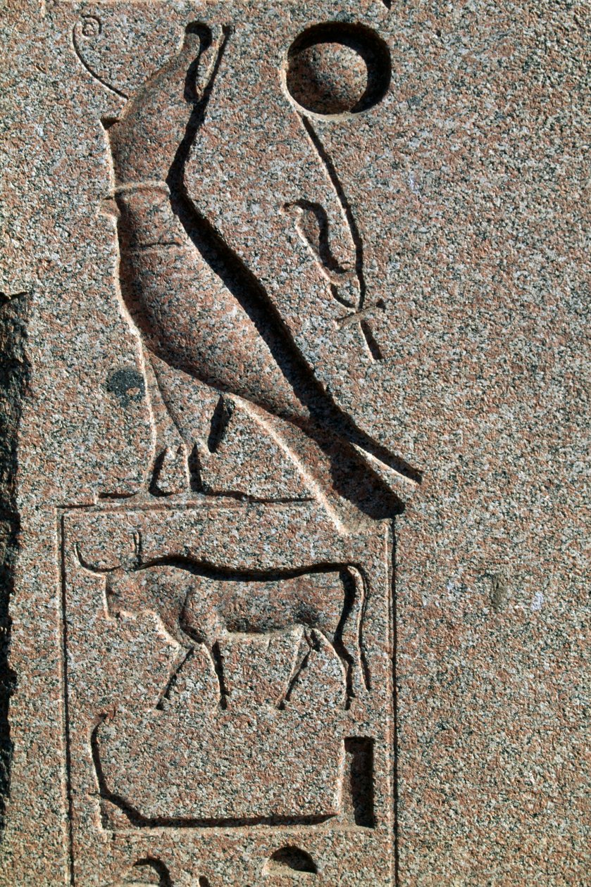 Hieróglifo com o nome de Hórus, Grande Templo de Amon, Tanis, Egito, Novo Reino, Dinastia XIX de Egyptian 19th Dynasty