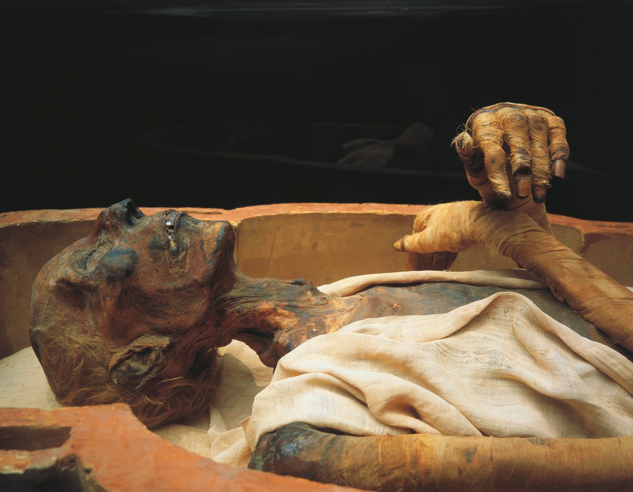 Múmia de Ramsés II, pormenor de Egyptian 19th Dynasty