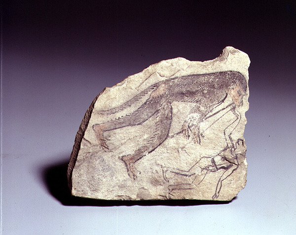 Ostracon com a figura de um macaco tocando flauta, New Kingdom (calcário pintado) de Egyptian 19th Dynasty