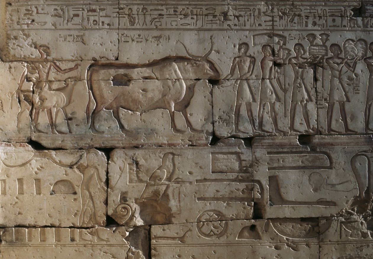 Relevo, Templo de Ramsés II, Abydos, Egipto, Civilização egípcia, Novo Reino, Dinastia XIX (foto) de Egyptian 19th Dynasty
