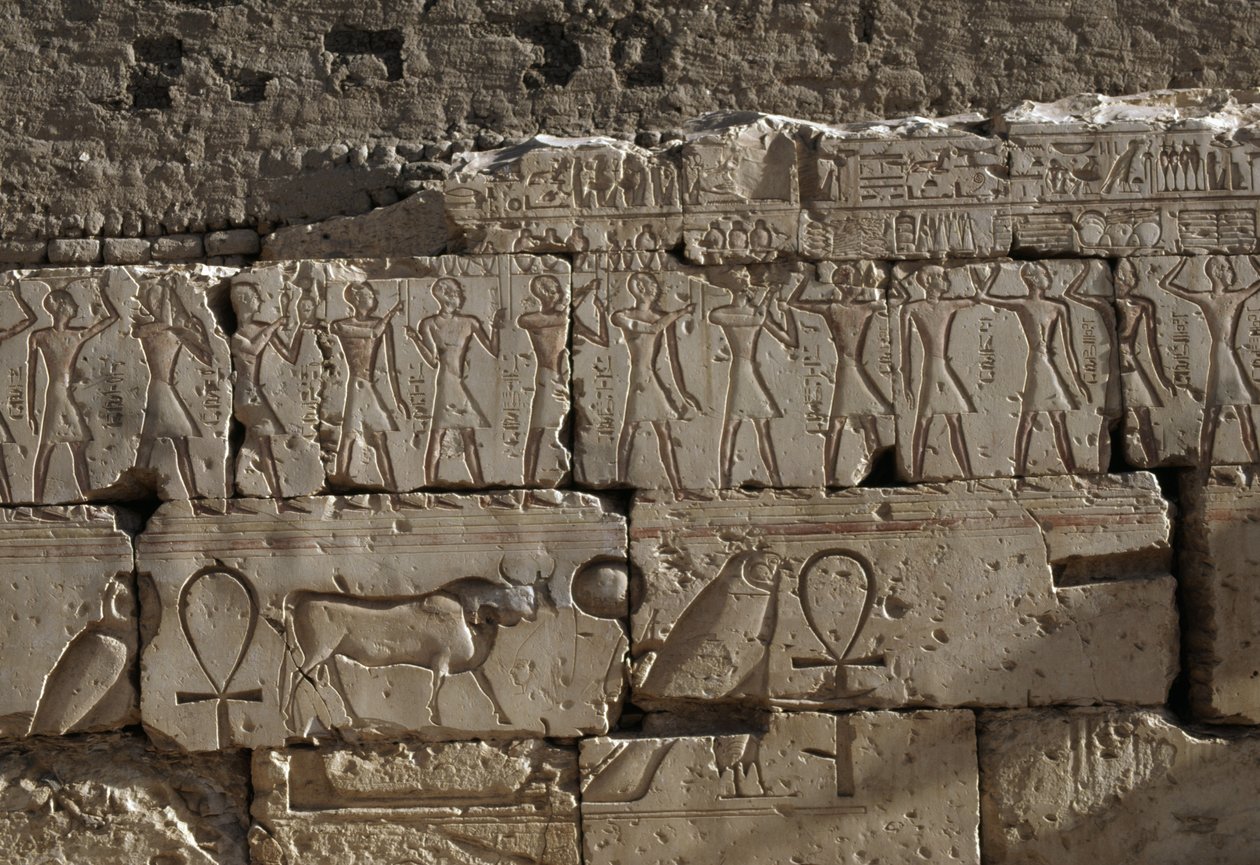 Relevo, Templo de Ramsés II, Abydos, Egipto, Civilização egípcia, Novo Reino, Dinastia XIX (foto) de Egyptian 19th Dynasty