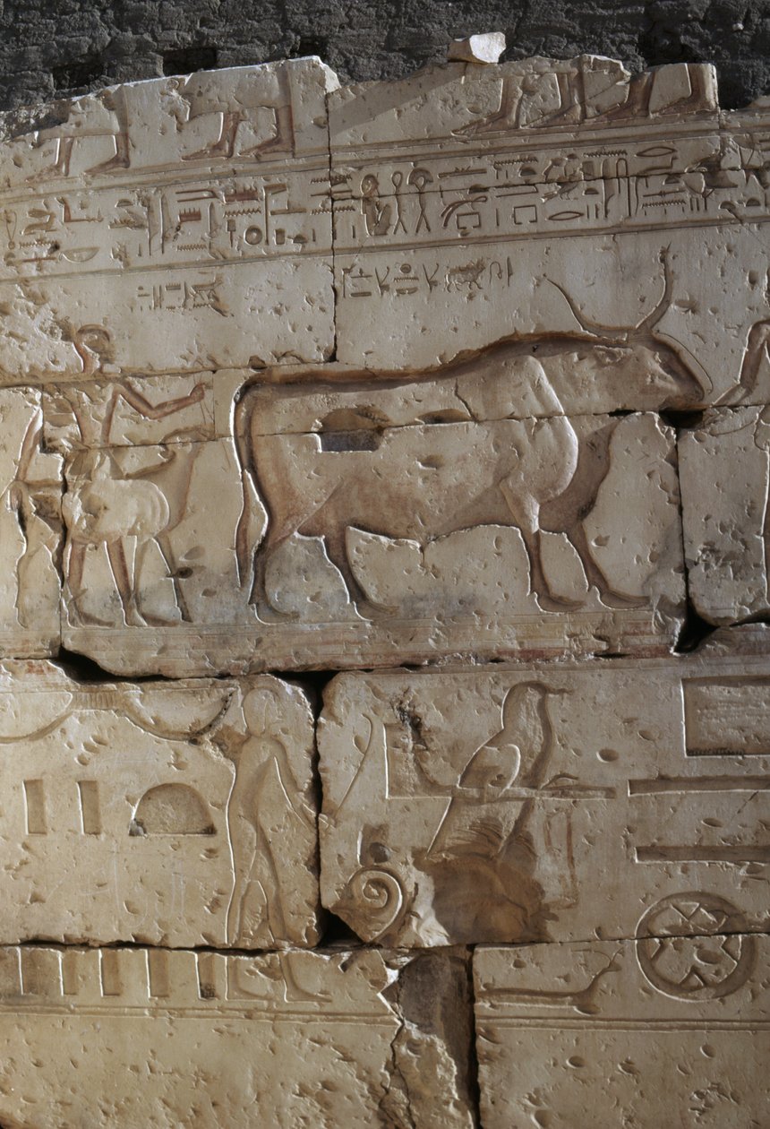 Relevo, Templo de Ramsés II, Abydos, Egipto, Civilização egípcia, Novo Reino, Dinastia XIX (foto) de Egyptian 19th Dynasty