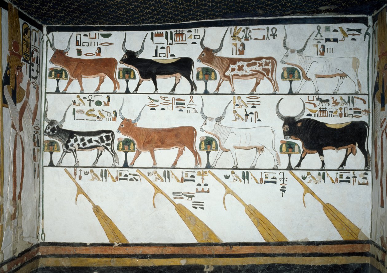 Sete vacas celestes, marido boi e quatro remos de direção, capítulo 148 do Livro dos Mortos, detalhe de afrescos na segunda câmara da Tumba de Nefertari, Vale das Rainhas, Luxor, Tebas. Civilização egípcia, Reino Novo, Dinastia XIX. de Egyptian 19th Dynasty