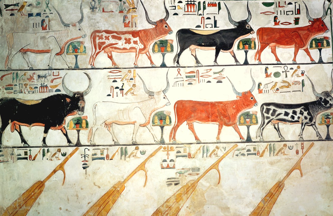 As sete vacas celestes e o touro sagrado e os quatro lemes do céu, do túmulo de Nefertari, Novo Reino (pintura mural) de Egyptian 19th Dynasty