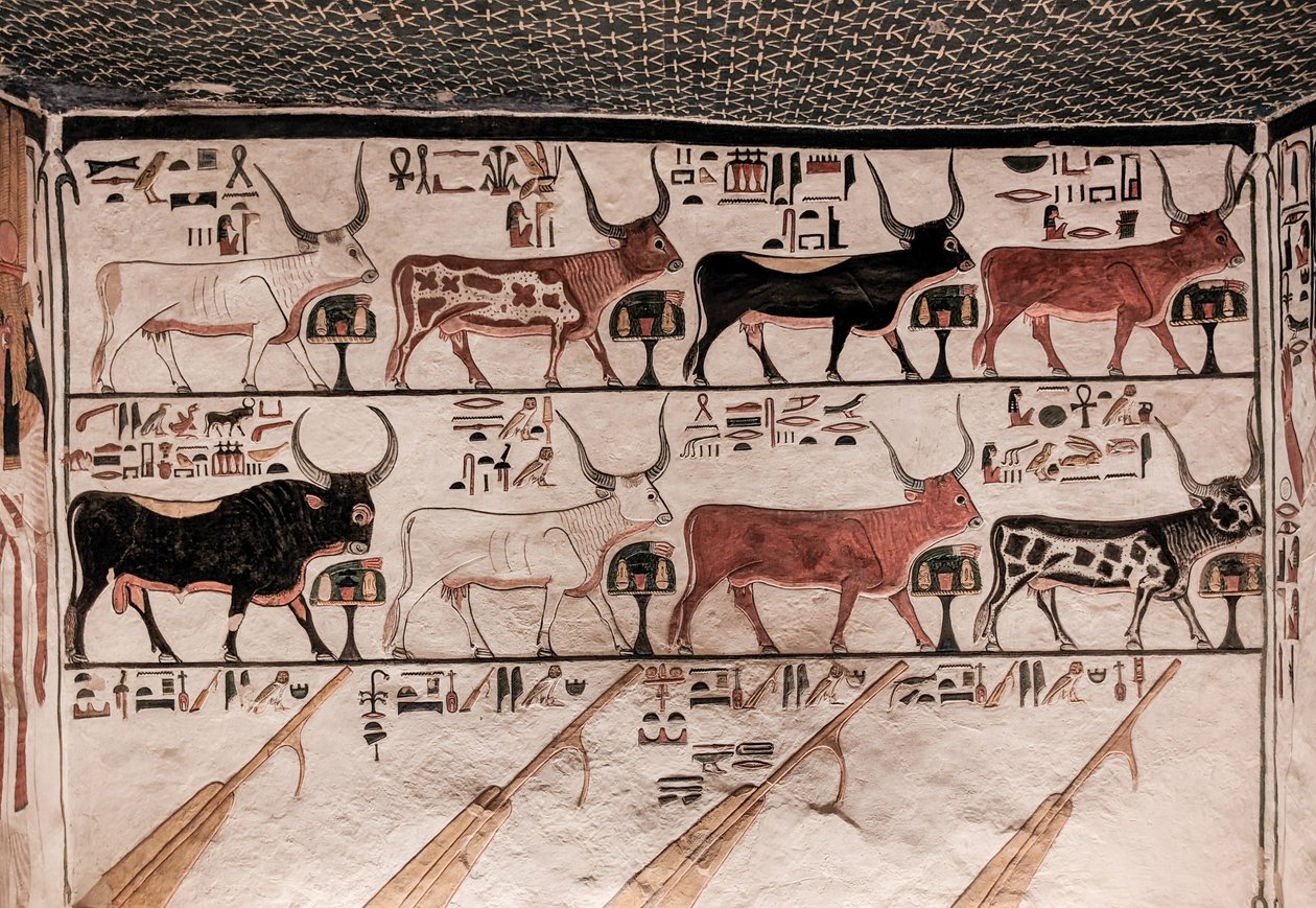 Tumba de Nefertari (pintura de parede) de Egyptian 19th Dynasty