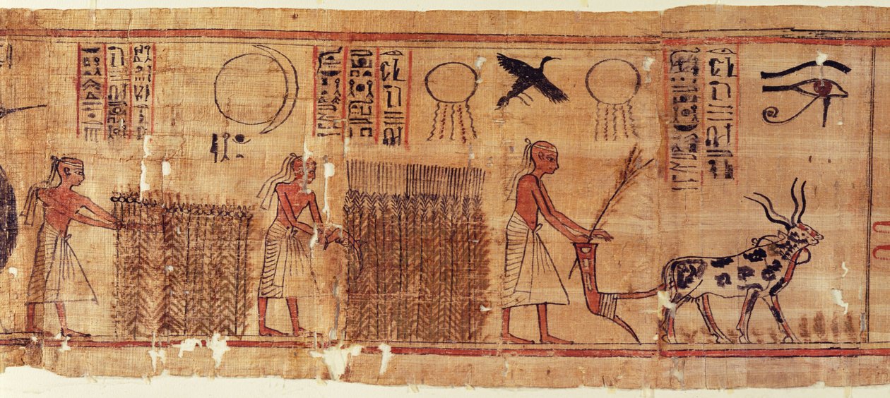 Livro dos Mortos de Neb-Hepet, pormenor dos campos de Egyptian 21st Dynasty