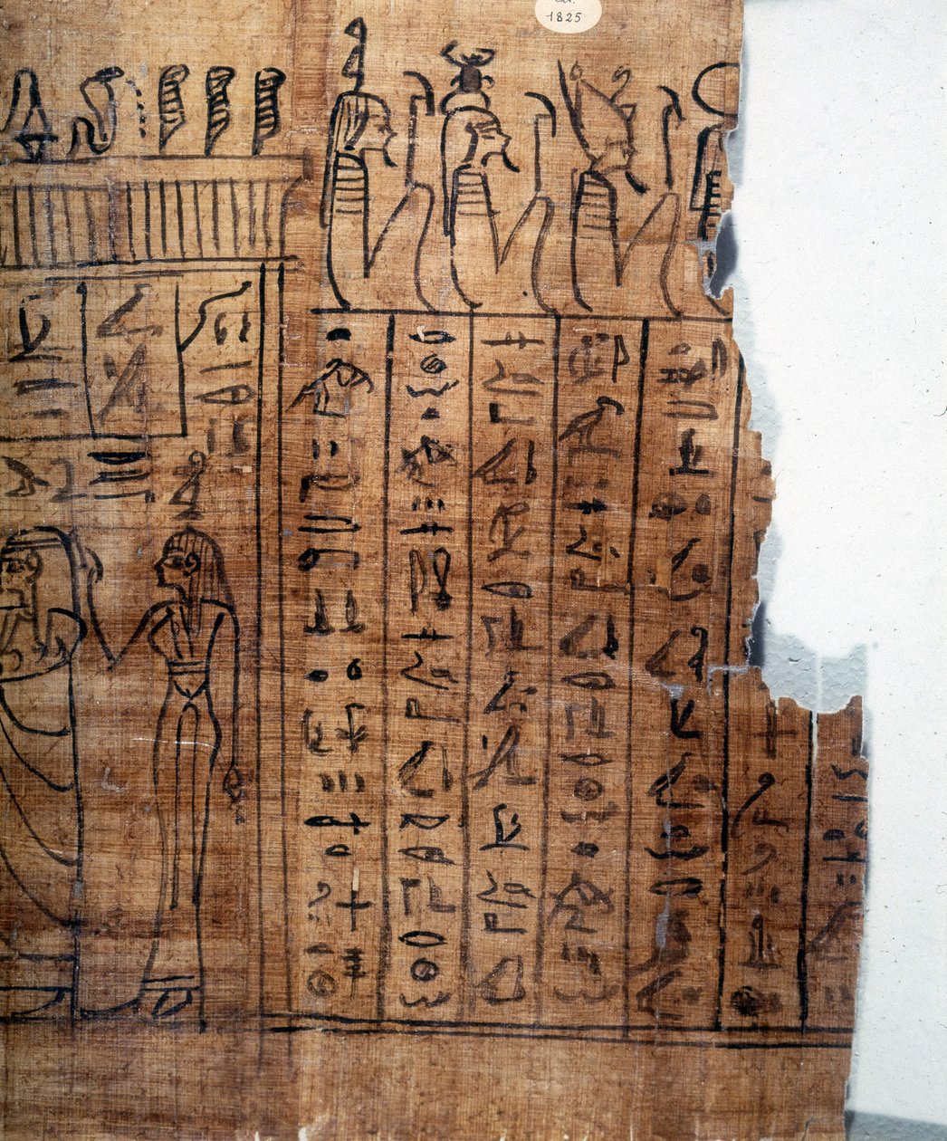 O Livro dos Mortos: hieróglifo egípcio sobre um papiro da 22ª dinastia. Detalhe. Século IX AC. Turim, Museu Egípcio. de Egyptian 22nd Dynasty