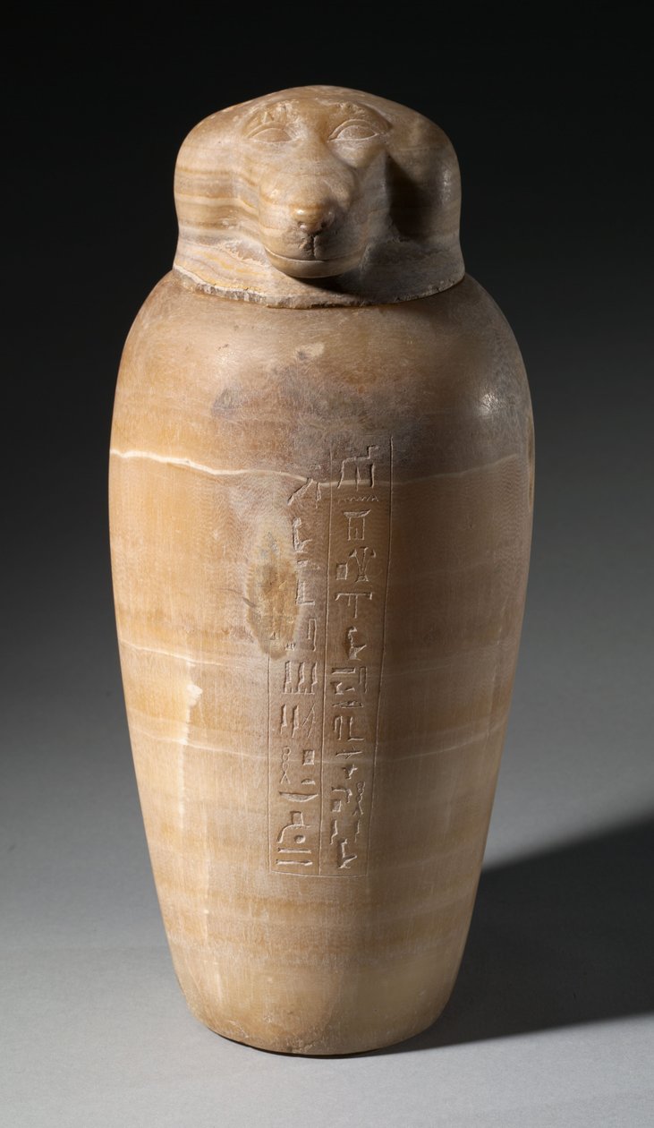 Frasco Canópico com Cabeça de Babuíno, 664-525 aC de Egyptian 26th Dynasty