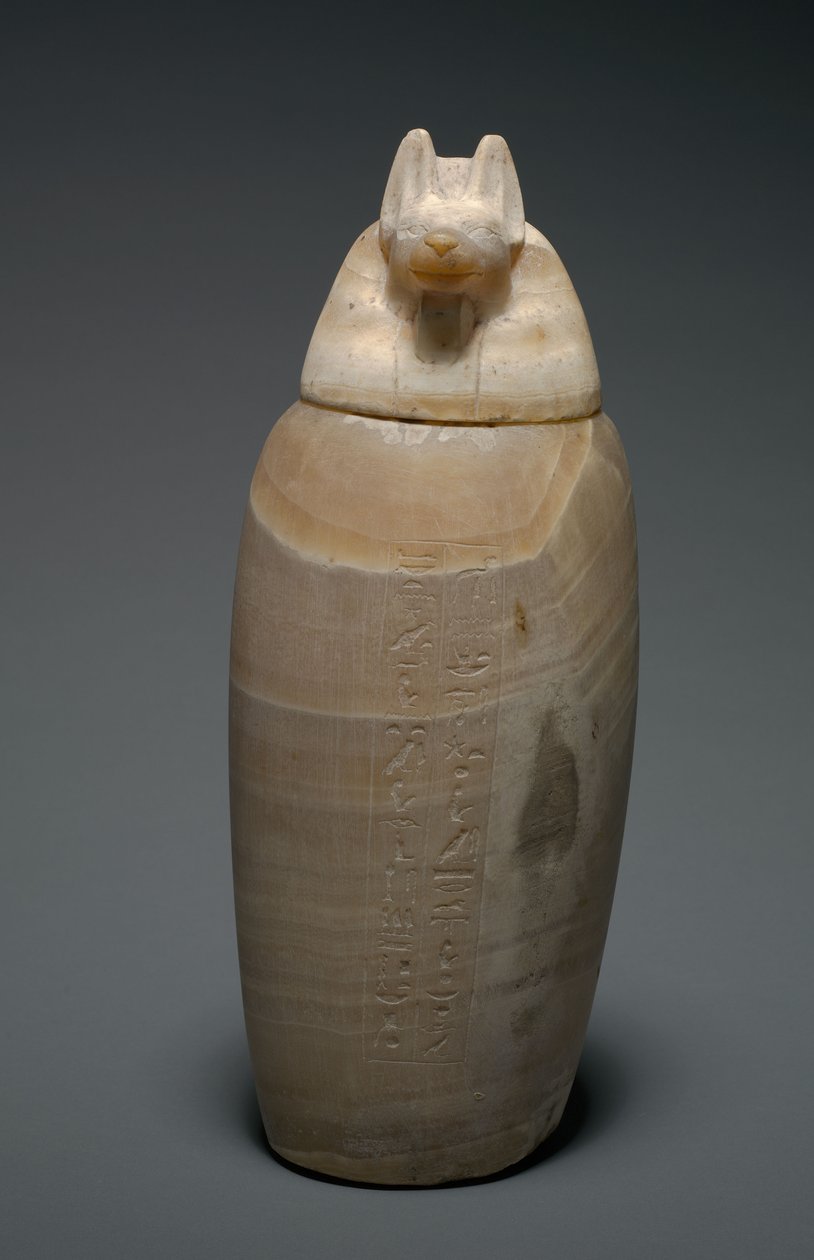 Frasco Canópico com Cabeça de Chacal, 664-525 aC de Egyptian 26th Dynasty