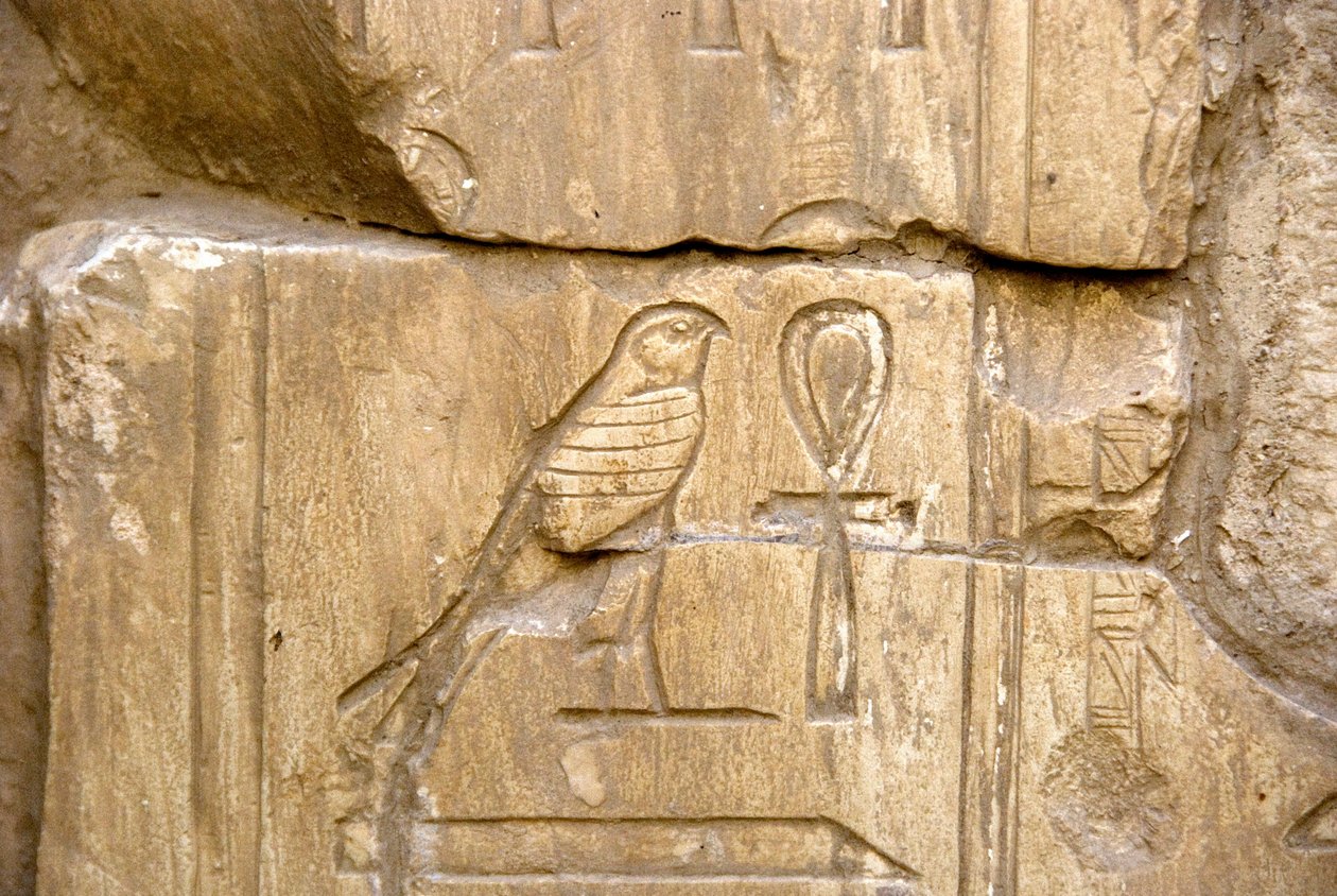 Antiquite egípcia: Cartucho de Cavalo de Ankh. Tumba de Ankh-Hor (Ankh Hor) (TT414) (26ª Dinastia, 672-525 AC), Luxor (Tebas), Egito de Egyptian 26th Dynasty