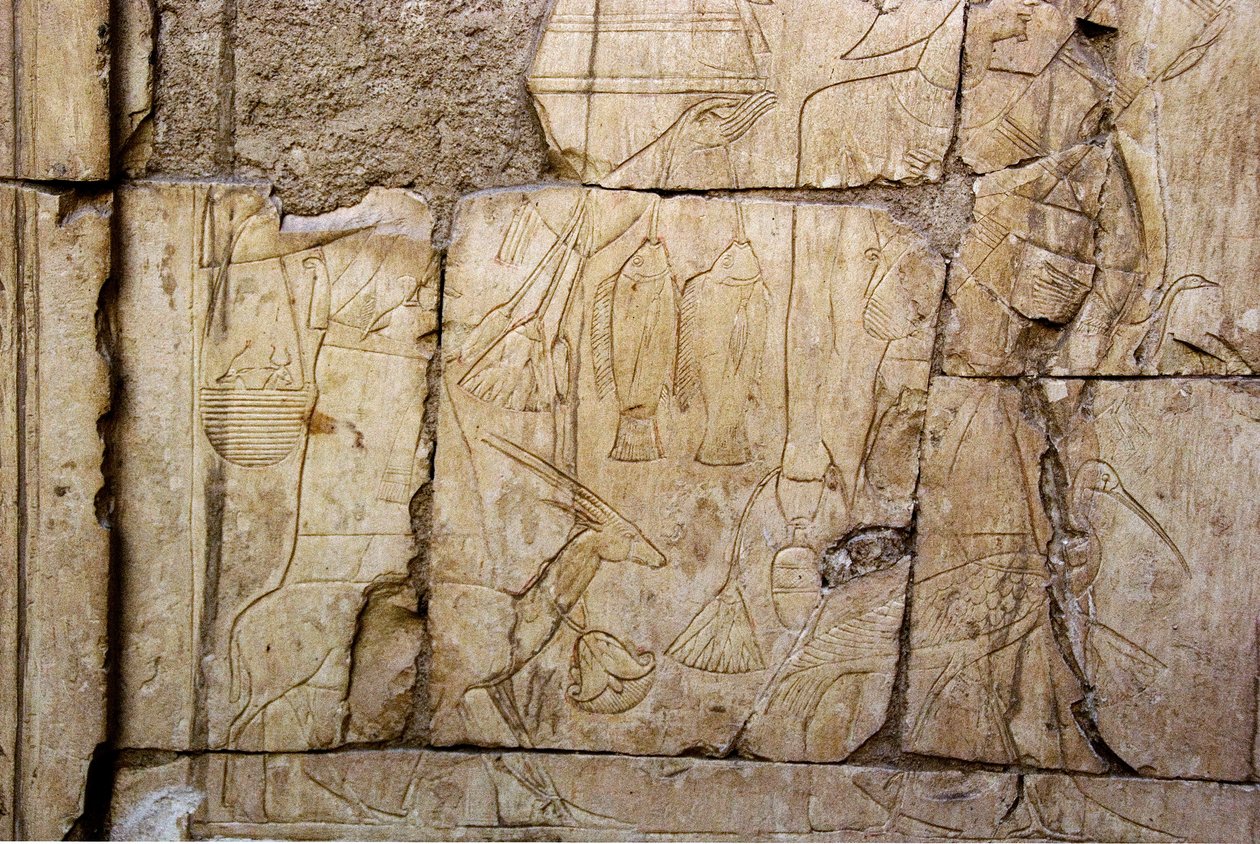 Antiguidade egípcia: alívio representando os portadores de ofertas. Túmulo de Ankh-Hor (Ankh Hor) (TT414) (26ª Dinastia, 672-525 AC), Luxor (Tebas), Egito de Egyptian 26th Dynasty