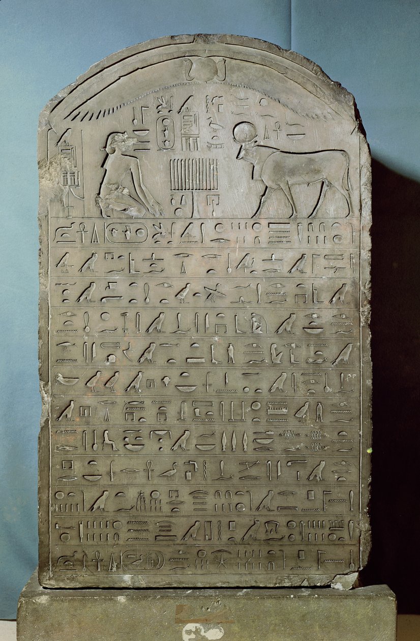 Estela comemorativa do enterro do touro Apis durante o reinado de Ahmose II (Amasis) do Serapeum em Saqqara, período tardio, 547 aC (calcário) de Egyptian 26th Dynasty