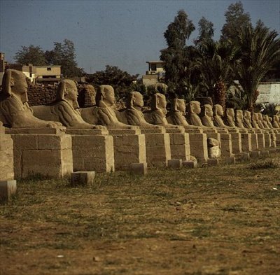 Avenida das Esfinges, adicionado por Nectanebo I (380-362 aC) Período Tardio de Egyptian 30th Dynasty