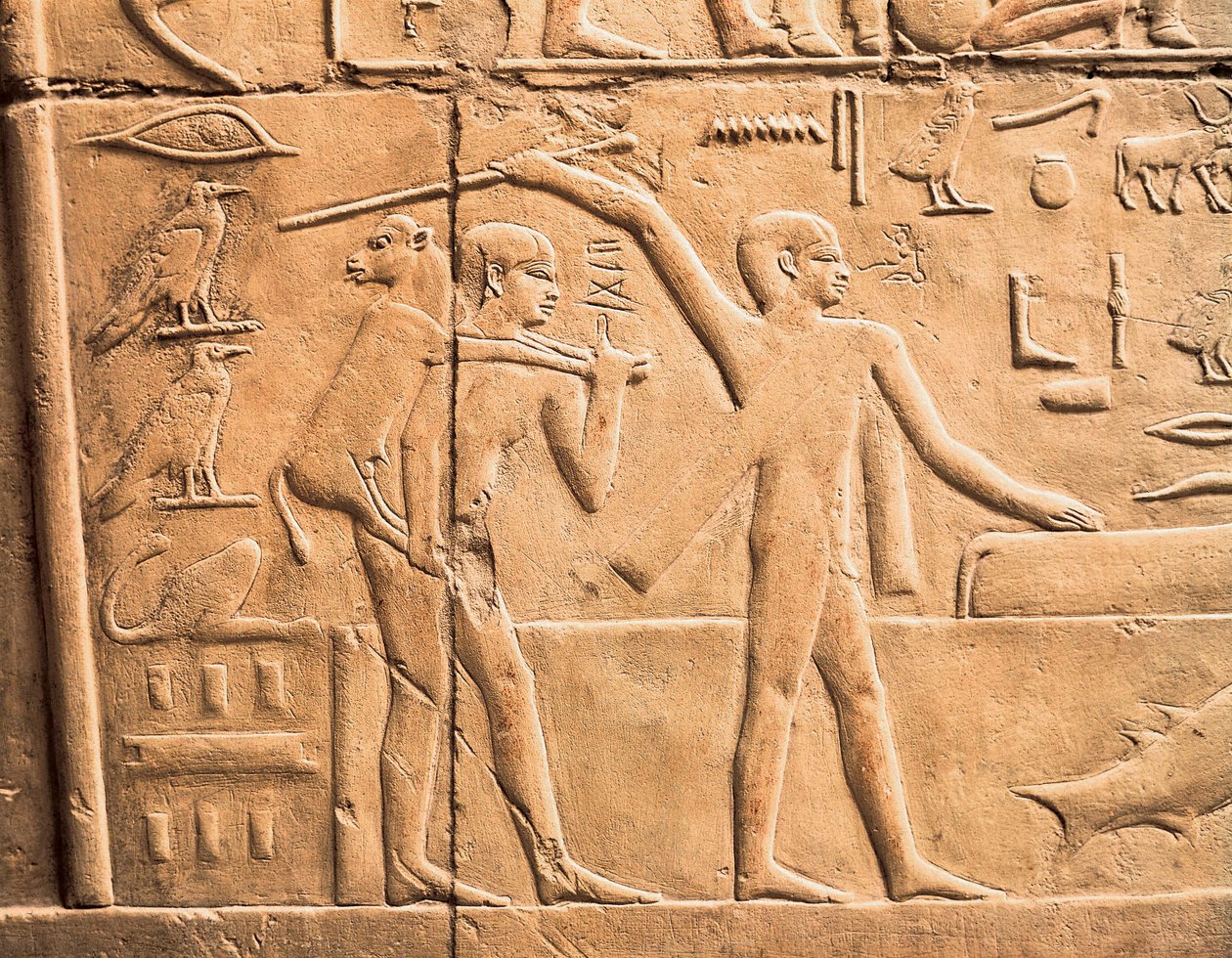 Cenas de trabalho agrícola, detalhe de Egyptian 4th Dynasty