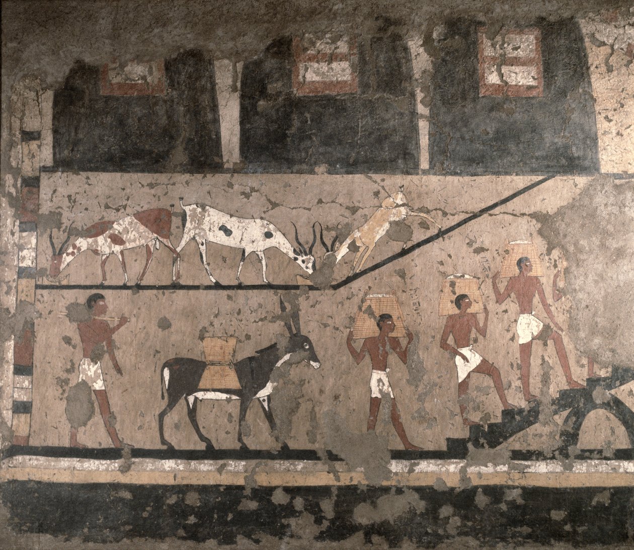 Cena agrícola, pintura de parede removida da Mastaba de Ti em Sakkara, Old Kingdom, c.2494-2345 aC (pedra calcária pintada) de Egyptian 5th Dynasty