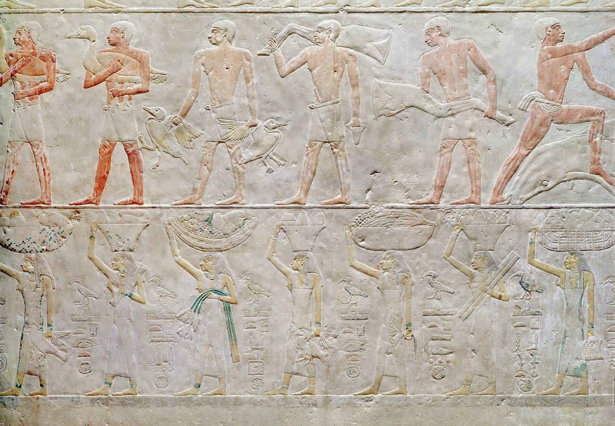 Relevo retratando pessoas levando oferendas de comida, do Mastaba de Akhethotep, Reino Antigo, c.2400 aC (calcário pintado) de Egyptian 5th Dynasty