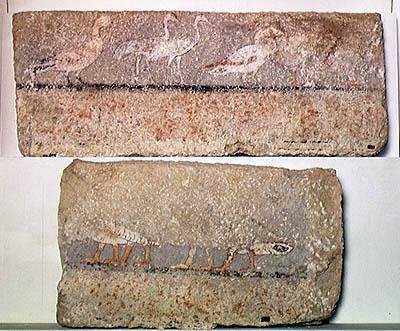 Pintura de parede retratando pássaros, Reino Antigo (calcita pintada) de Egyptian 5th Dynasty