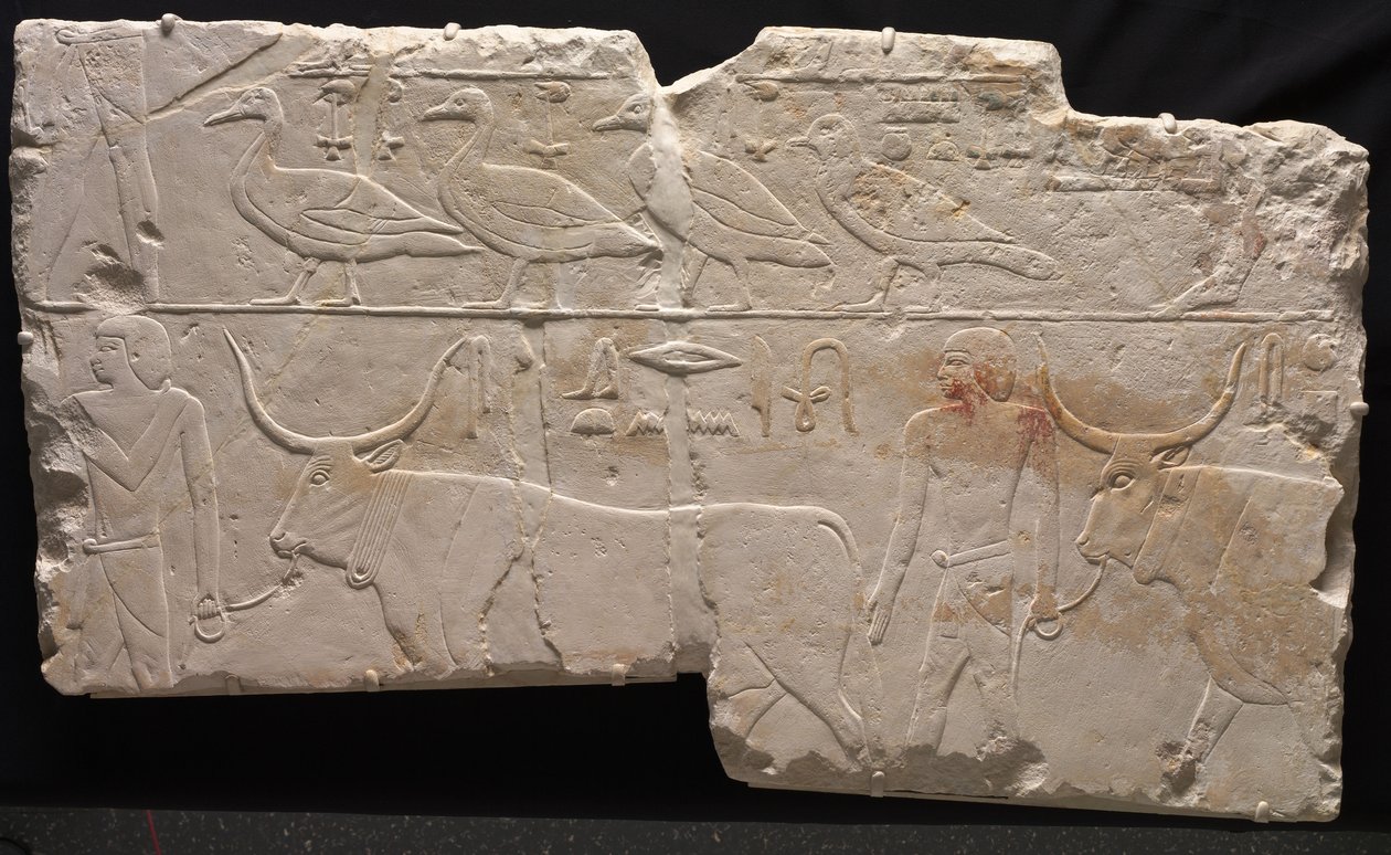 Alívio dos homens que trazem pássaros e gado, c.2311-2281 aC de Egyptian 6th Dynasty