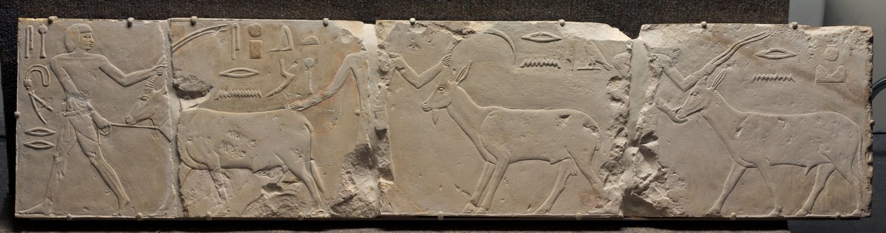 Alívio de homens trazendo animais do deserto, c.2311-2281 aC de Egyptian 6th Dynasty
