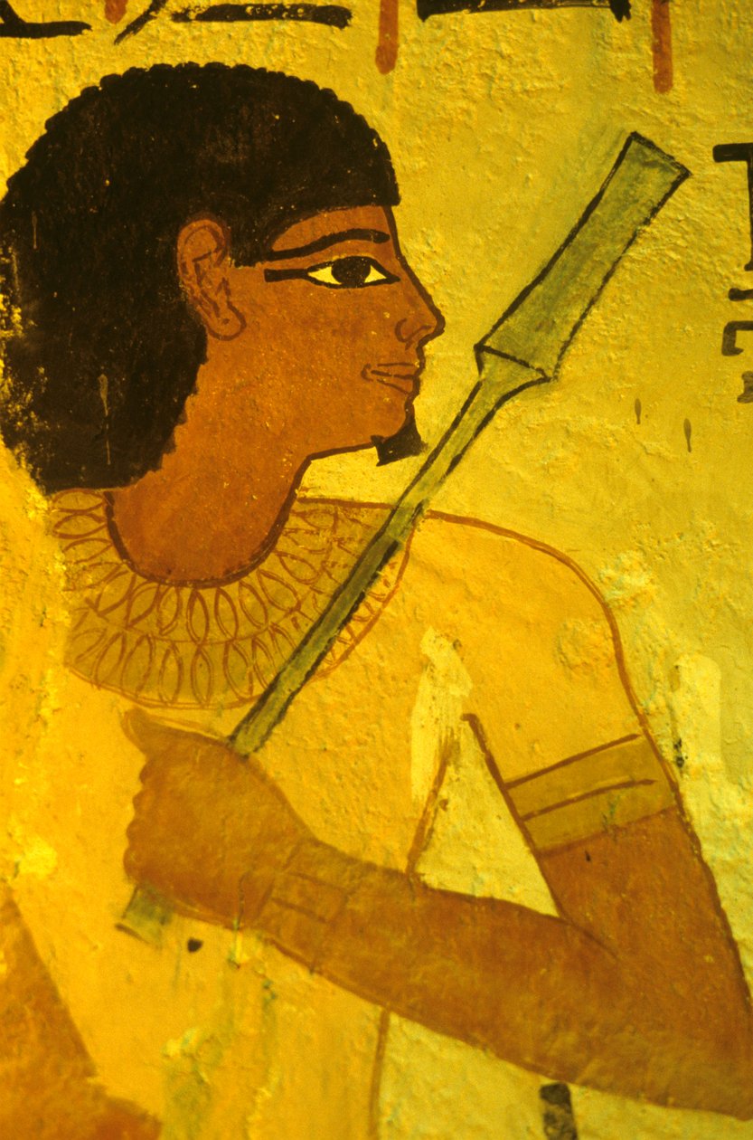 Antigo Egipto, Túmulo de Sennufer, Tebas/Luxor de Egyptian Egyptian