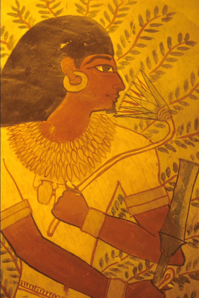Antigo Egito, Túmulo de Sennufer, Tebas, Luxor, Pintura mural, mural, fresco de Egyptian Egyptian