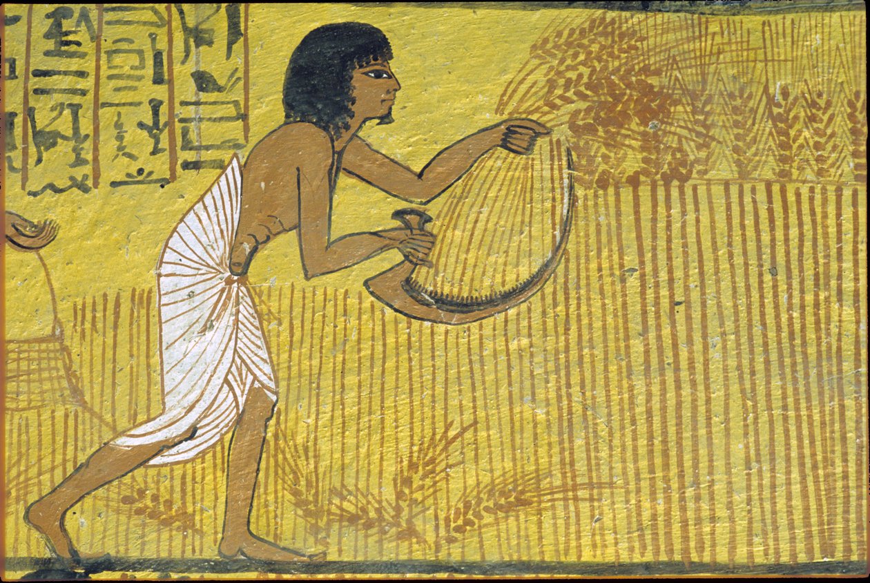 Antigo Egito, Pintura mural, Túmulo de Sennedjem, Túmulo dos Nobres, Tebas, Deir el Medina de Egyptian Egyptian