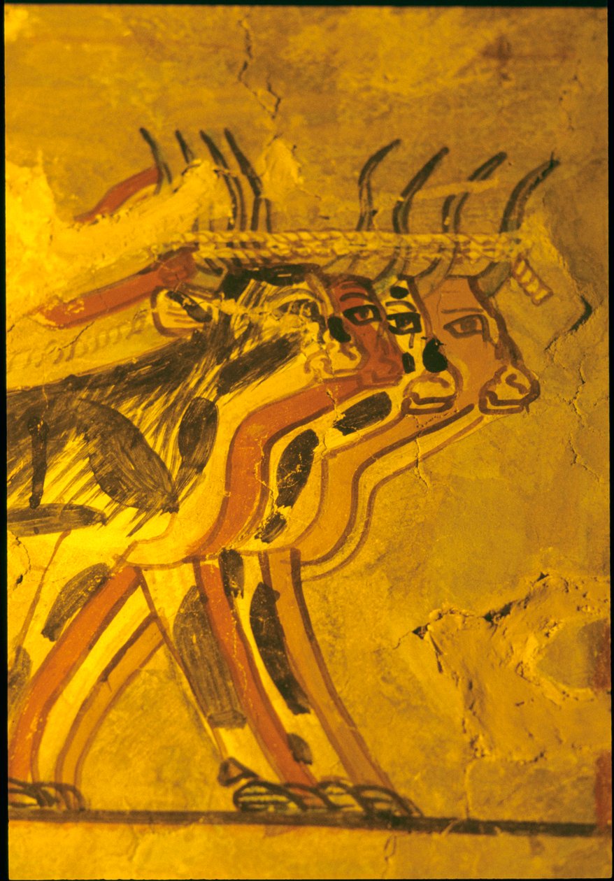 Egito antigo, Pintura mural, Túmulo de Sennufer, Túmulo dos Nobres, Tebas de Egyptian Egyptian