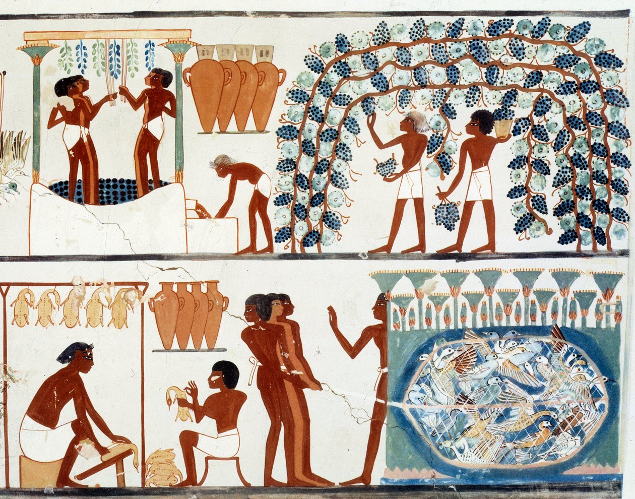 Arte Egito: colhendo e pisando uvas. Simile College of the Tomb of Nakht, período de Amenophis II (ca. 1450-1425 a.C.) Paris, College De France de Egyptian Egyptian