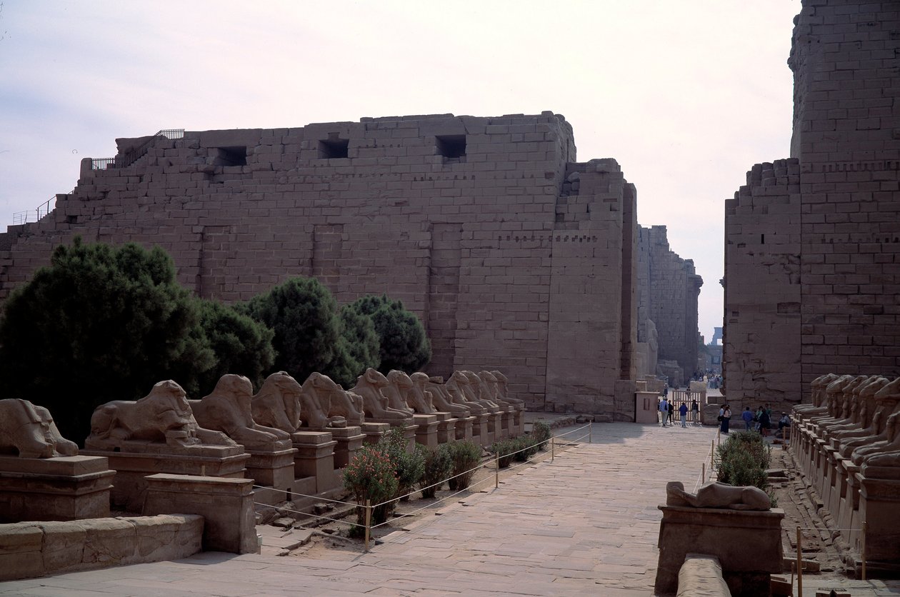 Antiquite egípcia: alee (dromos) da criosfinge (esfinge à cabeça dos crentes) em Karnak, Luxor, Egipto de Egyptian Egyptian