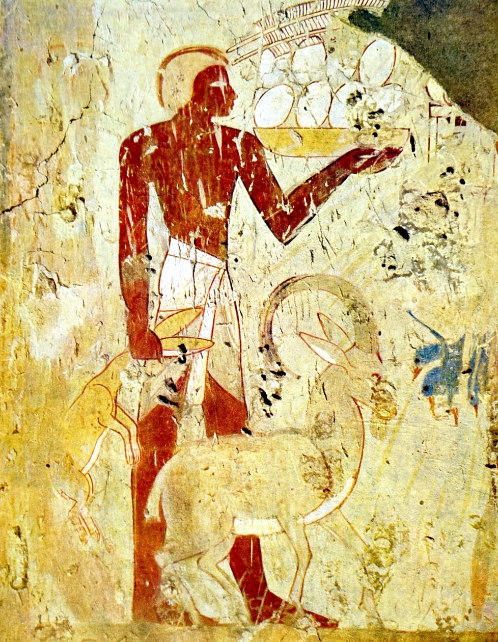 Pintura mural em túmulo egípcio representando sacrifícios de animais de Egyptian Egyptian