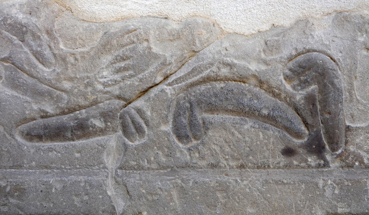 Pilhas de órgãos genitais masculinos cortados pelo inimigo, Templo de Hórus, Edfu de Egyptian Egyptian