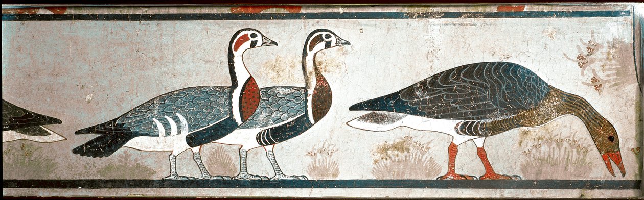 Gansos, detalhe de um painel do Mastaba de Itet, esposa de Nefermaat, Meidoum (calcário pintado) de Egyptian Egyptian