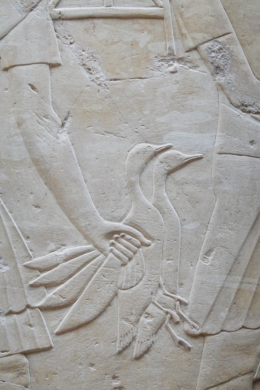 Mão segurando 2 gansos pelas asas, túmulo de Ramose de Egyptian Egyptian