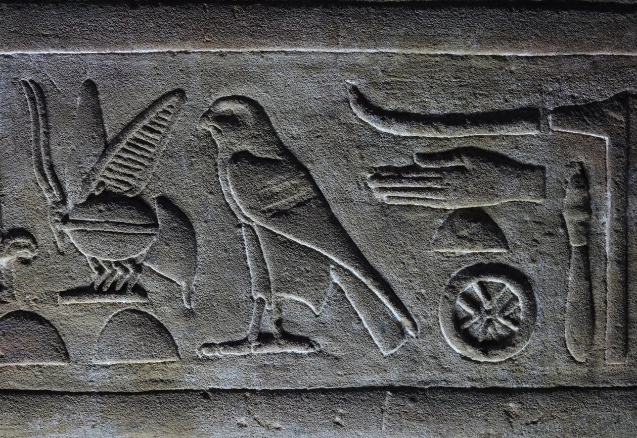 Hieróglifos, Abelha do Faraó e Falcão de Hórus, Templo de Hórus, Edfu de Egyptian Egyptian