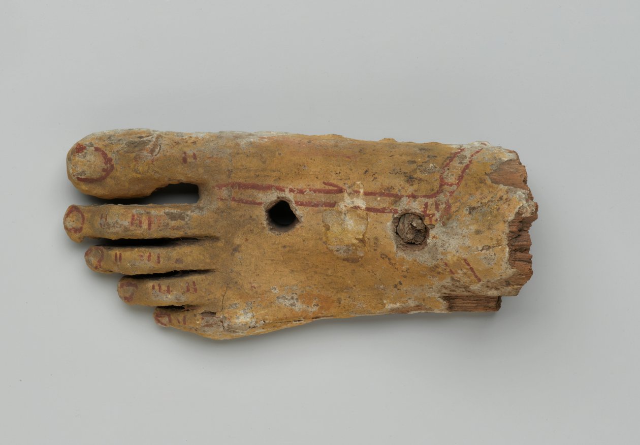 Pé esquerdo de um caixão antropóide, 30 a.C.-2ndo século DC (madeira e gesso) de Egyptian Egyptian