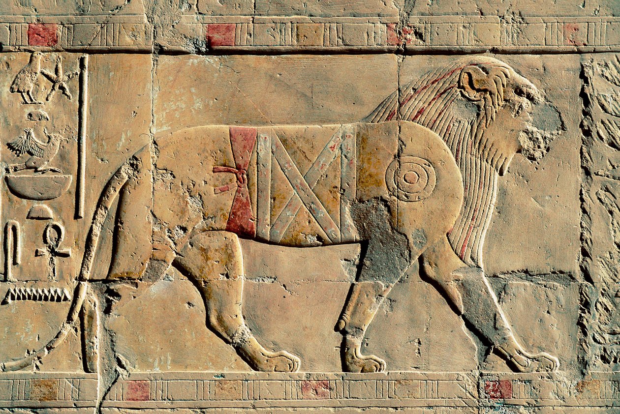 Lion, Senenmut, Templo de Hatshepsut, Dayr al-Bahri, Egito de Egyptian Egyptian