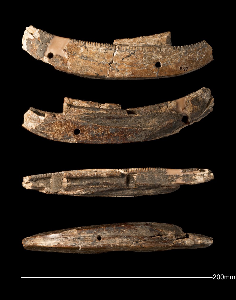 Barco modelo, Hierakonpolis, Período Dinástico Antigo (c. 2950 - c. 2575 a.C.) (marfim esculpido) de Egyptian Egyptian
