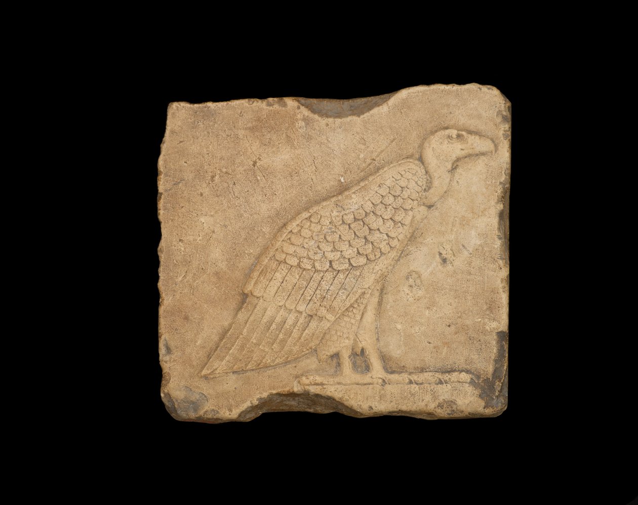 Um bloco com um abutre em pé em um rosto e uma coruja no outro lado, ambos em baixo relevo, período ptolemaico, 305-30 aC (calcário) de Egyptian Ptolemaic Period
