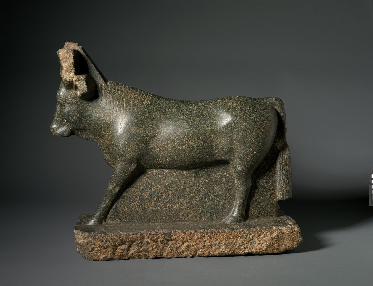 Apis Bull, 400-100 AC (serpentinito) de Egyptian Ptolemaic Period