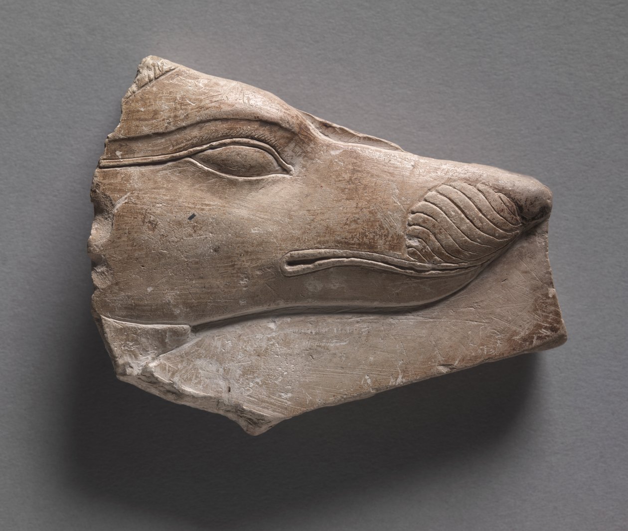 Relevo eleitoral frente e verso, período greco-romano, 305-30 aC de Egyptian Ptolemaic Period