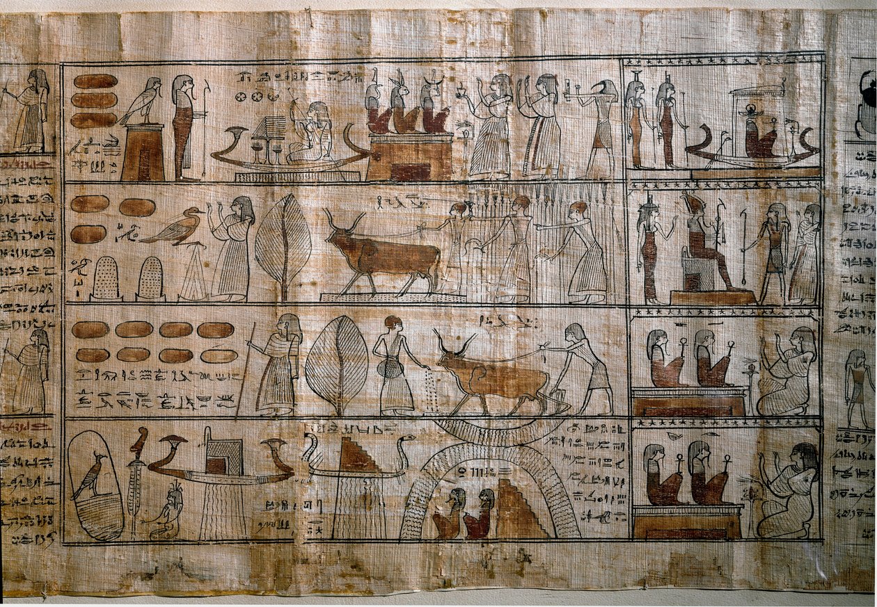 Antiguidade Egípcia: os Campos Elíseos. Papiro de um Livro dos Mortos. Período ptolemaico. Turim, museu egípcio. de Egyptian Ptolemaic Period