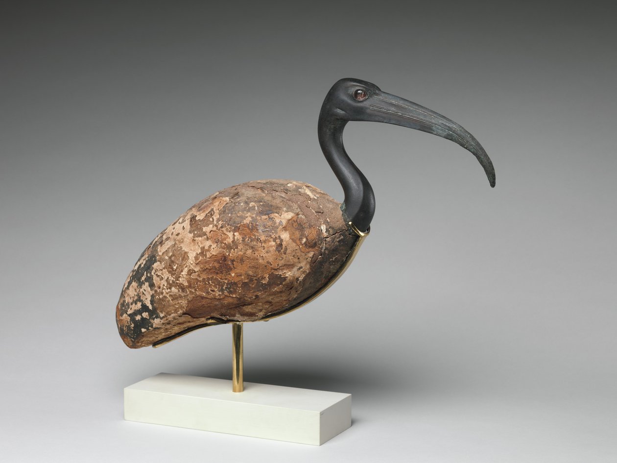 Ibis (madeira pintada e bronze, olhos de vidro) de Egyptian Ptolemaic Period