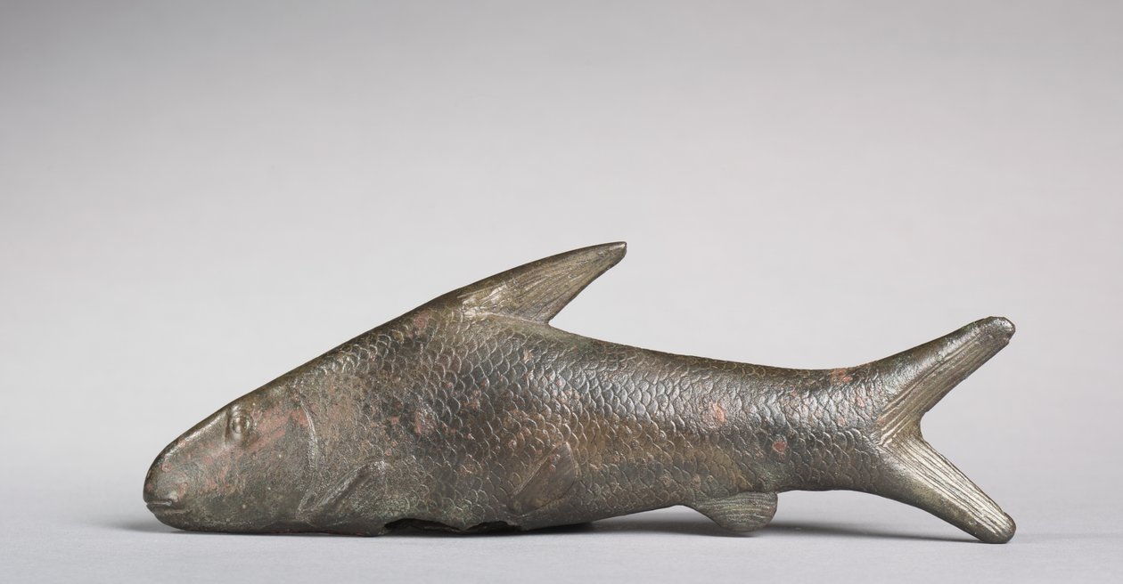Peixe Lepidotus, período greco-romano, 305-30 aC de Egyptian Ptolemaic Period