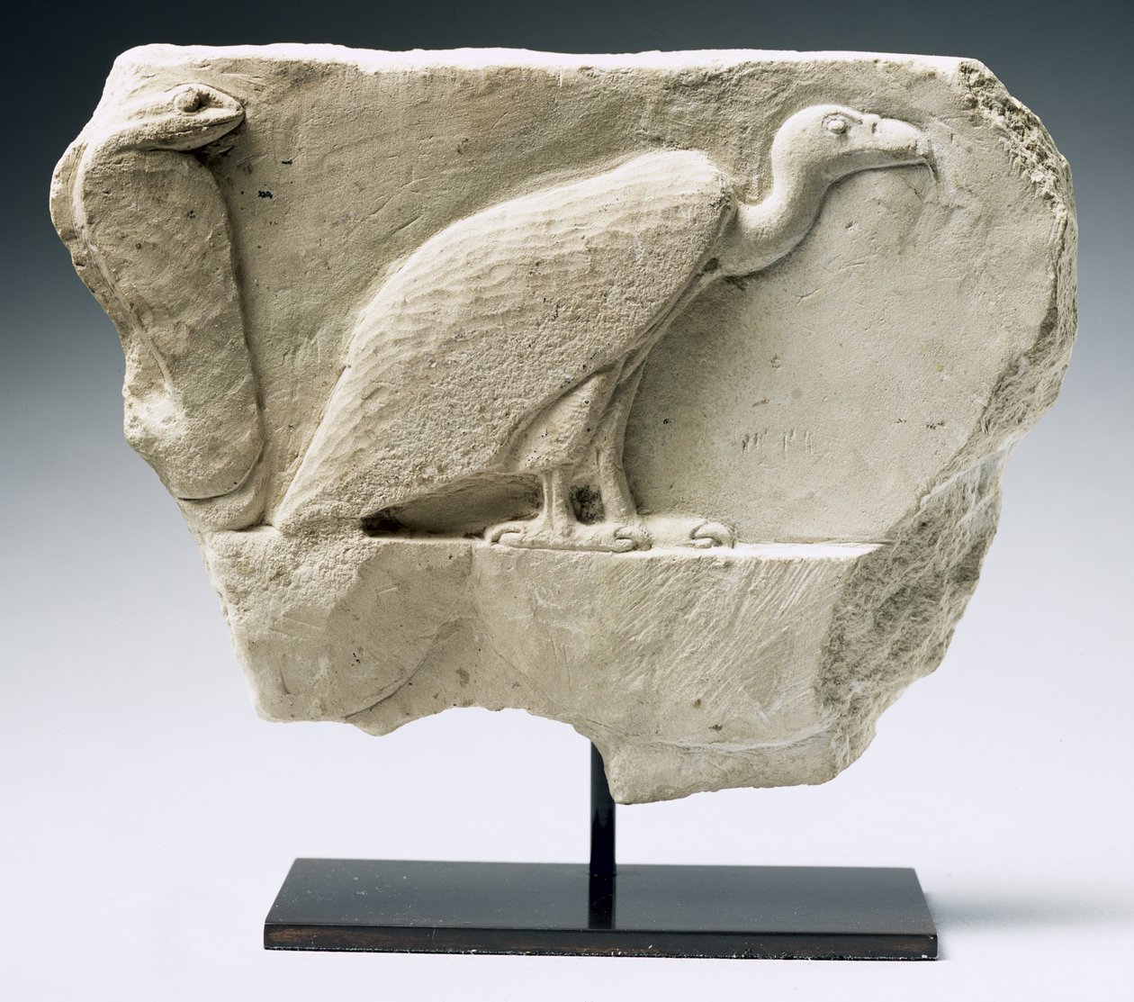 Relevo retratando um abutre e cobra (calcário) de Egyptian Ptolemaic Period