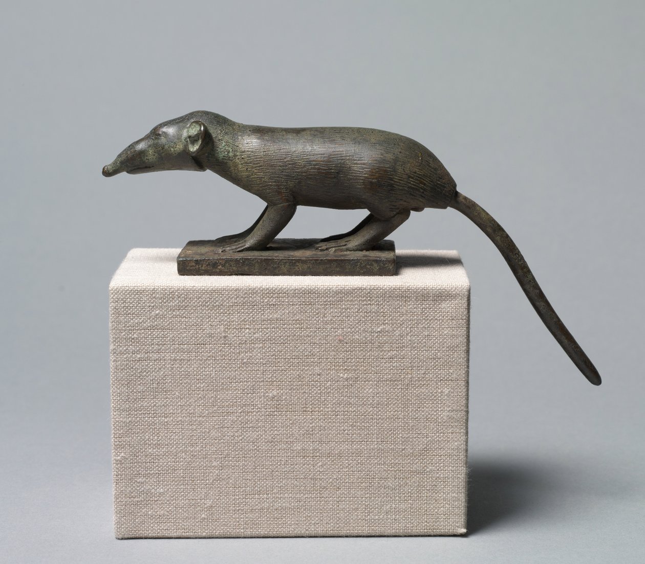 Musaranho, 305-30 aC de Egyptian Ptolemaic Period