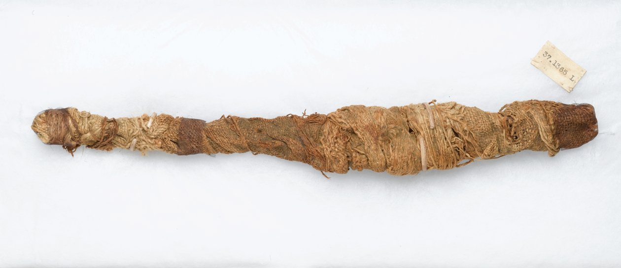 Múmia de crocodilo, encontrada em Manfalont, 305 aC-30 aC (restos de animais e linho) de Egyptian School
