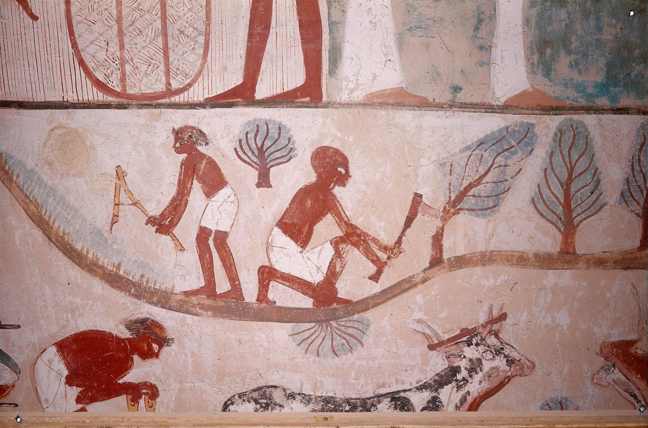 Cena de agricultura (ceifa e corte de madeira), do Túmulo do Escriba Menna, Egipto, Sheikh Abd el-Qurna, Vale dos Nobres de Egyptian School