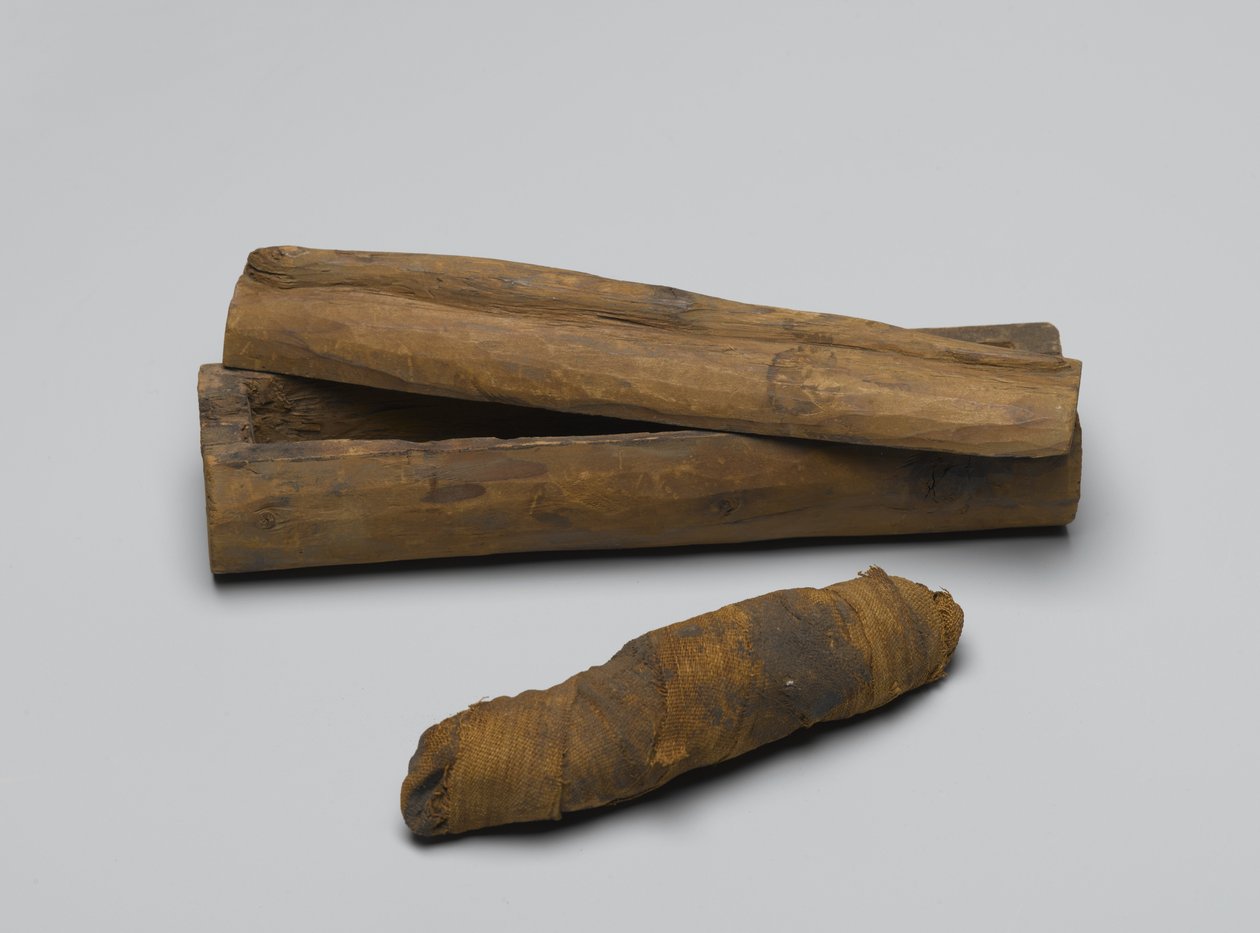 Pequeno caixão de cobra, com múmia, 664 aC-322 aC (madeira, restos de animais e linho) de Egyptian School