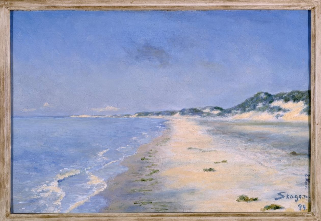 E.Hein, um maravilhoso dia de verão em Skagen de Einar Hein