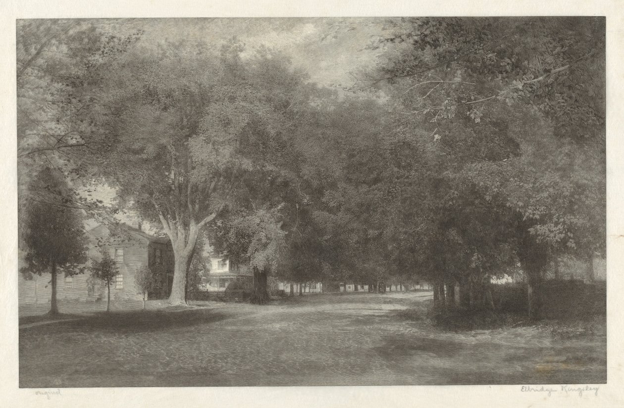 Olmos da Nova Inglaterra de Elbridge Kingsley